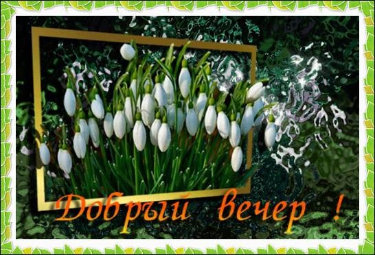 Красивые пожелания доброго вечера