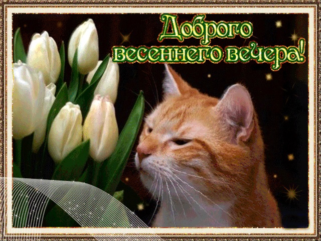 Весеннего Настроения Картинки Вечер.