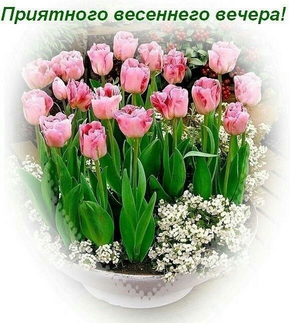 Доброго уютного весеннего вечера