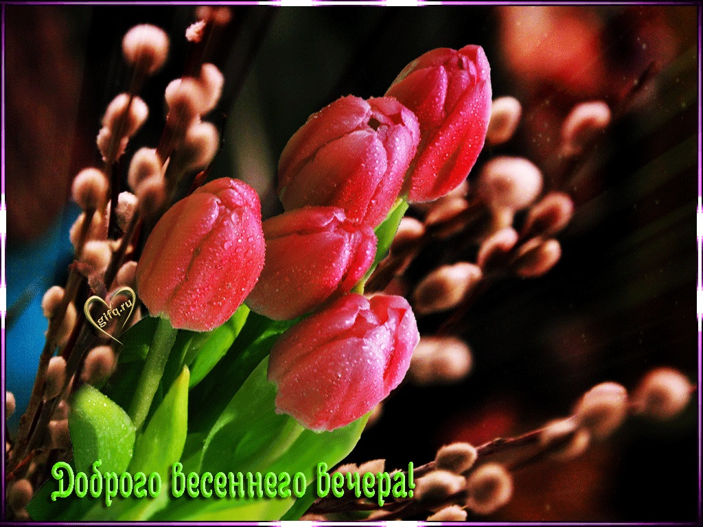 Бесплатно отправить открытки на WhatsApp