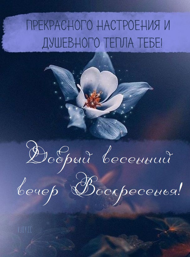 Картинки С Добрым Весенним Вечером.