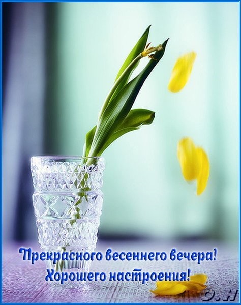 Доброго весеннего вечера.