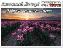 От души желаю приятного весеннего вечера вам!