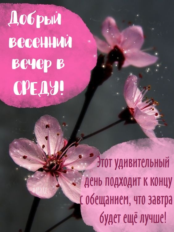 Картинки с надписями Доброго весеннего вечера!