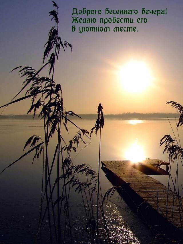 Открытка нежная пусть весенний вечер будет добрым.