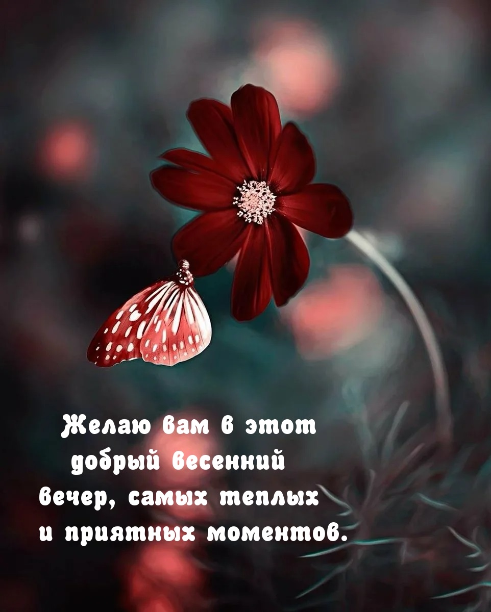 Замечательного вечера и настроения!