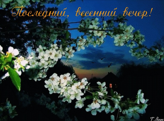 Чудесного весеннего вечера