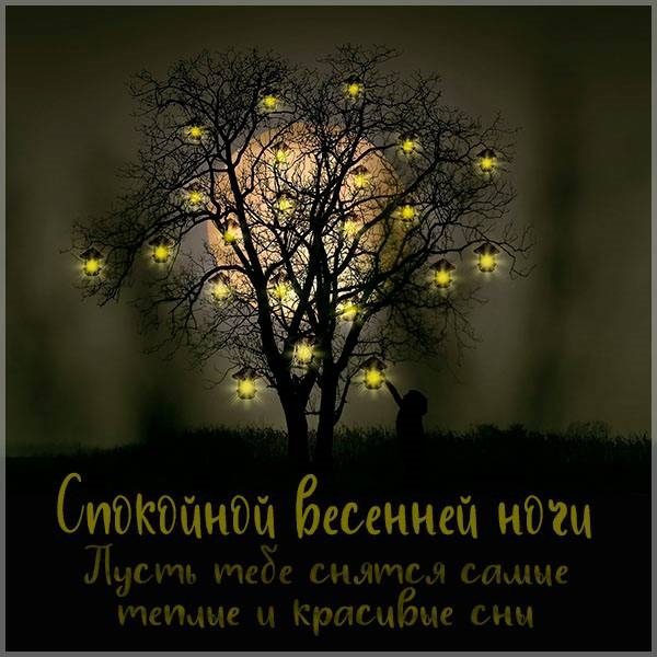 Хостинг картинок yapx.ru