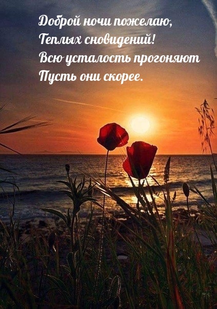 Хостинг картинок yapx.ru