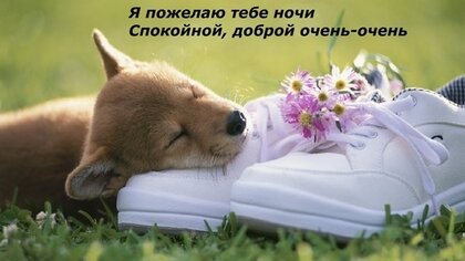 Хостинг картинок yapx.ru