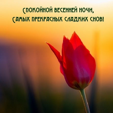 Хостинг картинок yapx.ru