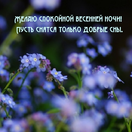 Хостинг картинок yapx.ru