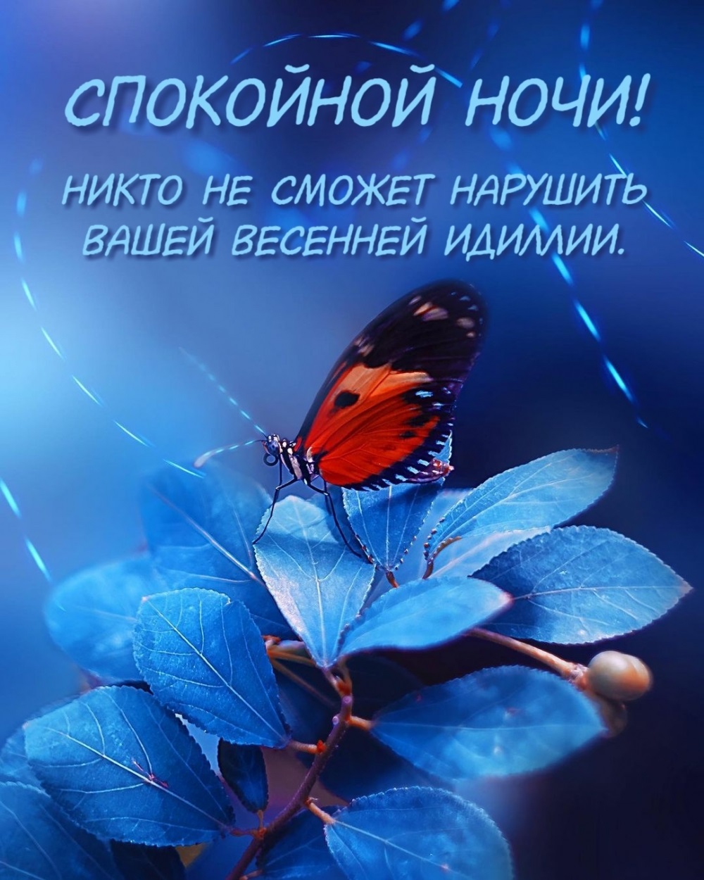 Хостинг картинок yapx.ru