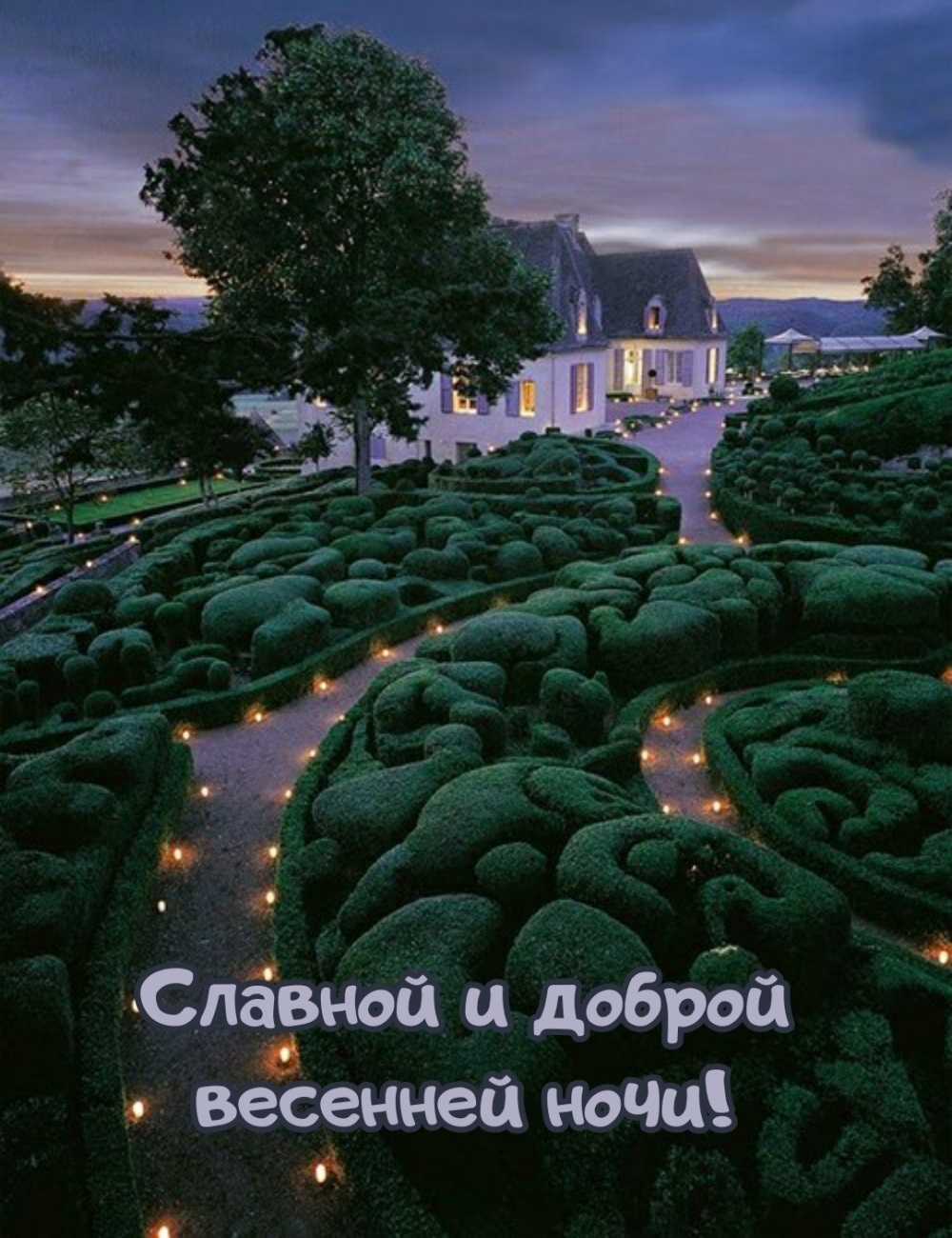 Хостинг картинок yapx.ru