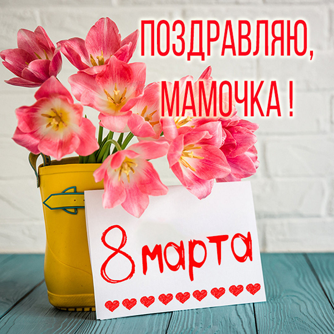 Хостинг картинок yapx.ru