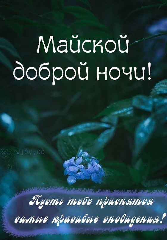 Хостинг картинок yapx.ru