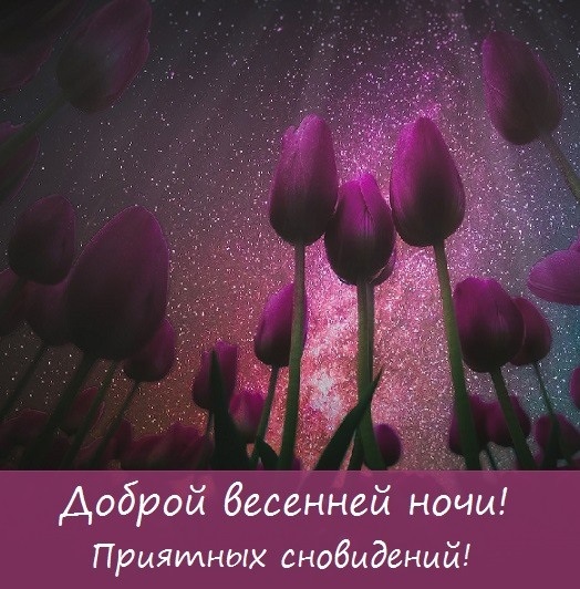 Хостинг картинок yapx.ru