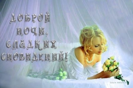 Хостинг картинок yapx.ru