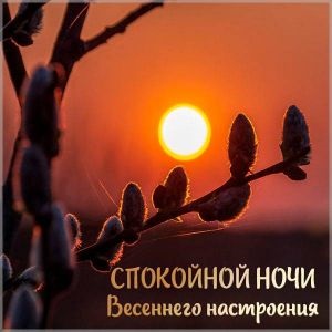 Хостинг картинок yapx.ru