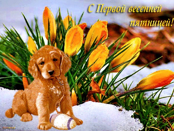 Хостинг картинок yapx.ru