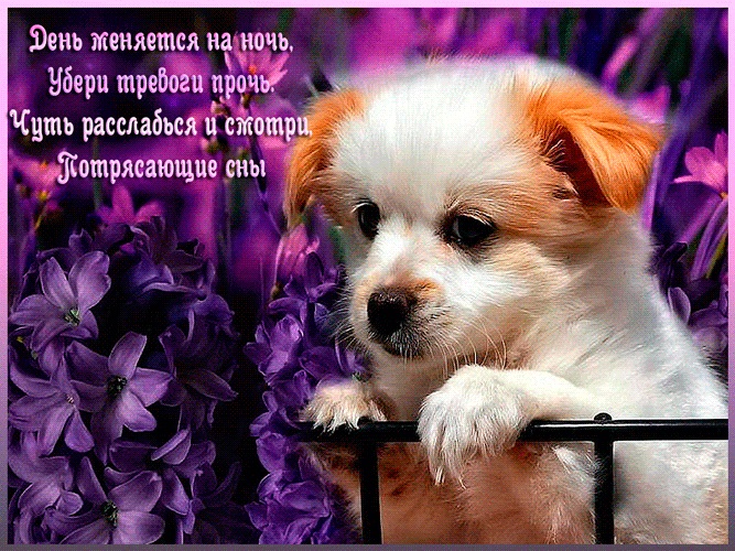 Хостинг картинок yapx.ru