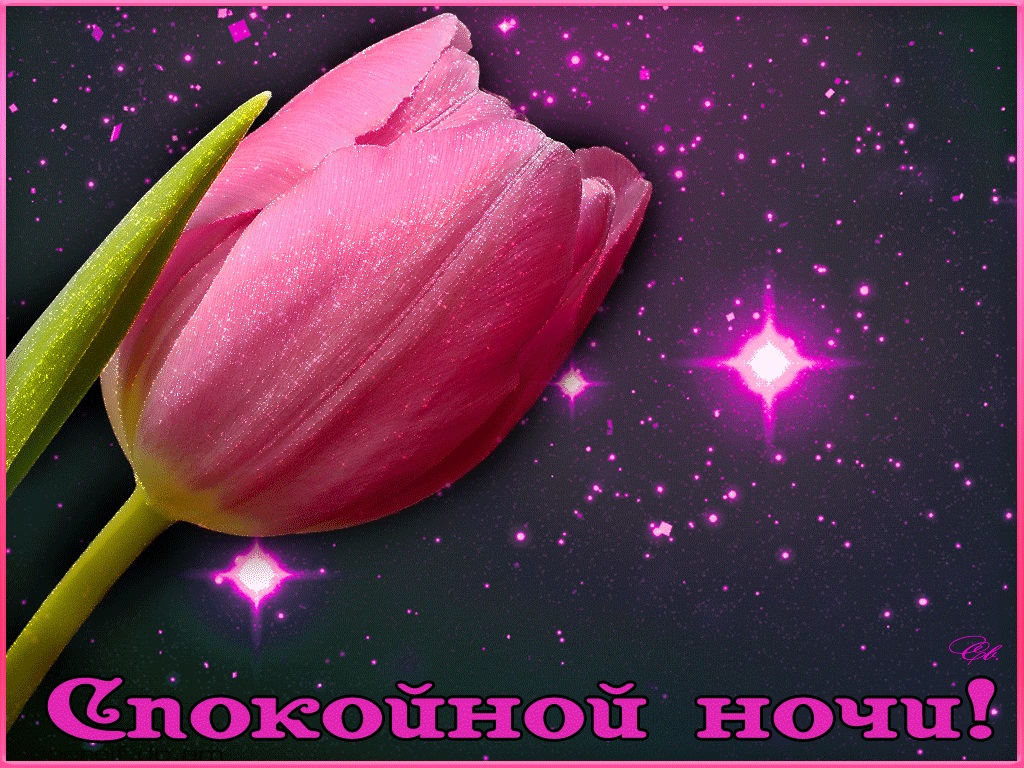 Хостинг картинок yapx.ru