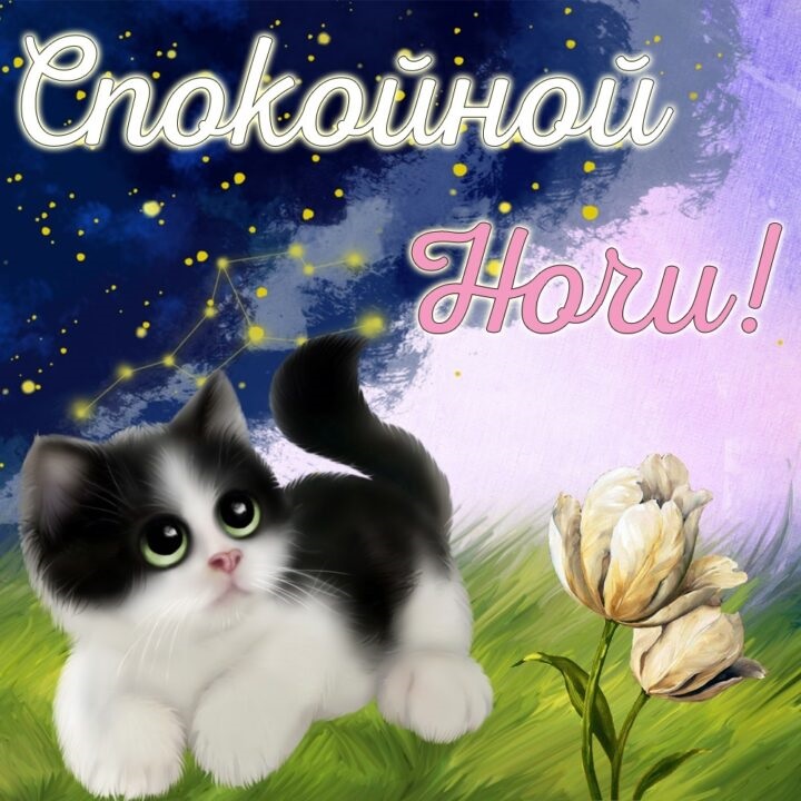 Хостинг картинок yapx.ru