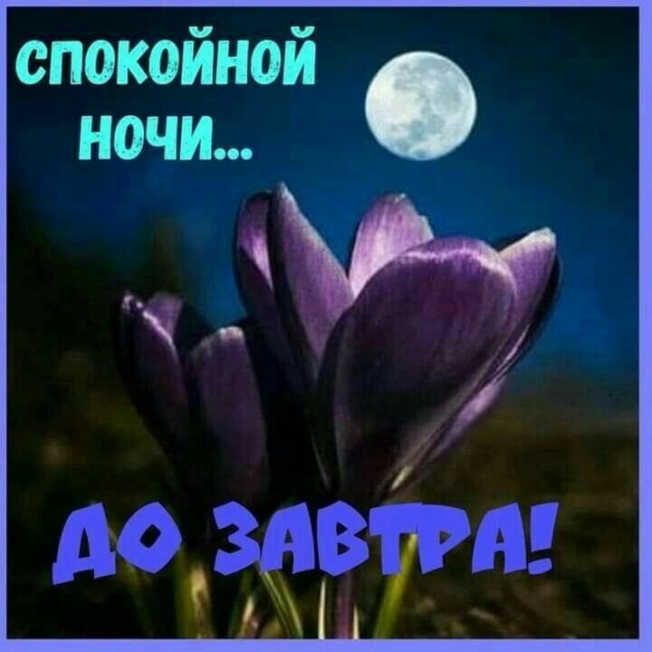 Хостинг картинок yapx.ru