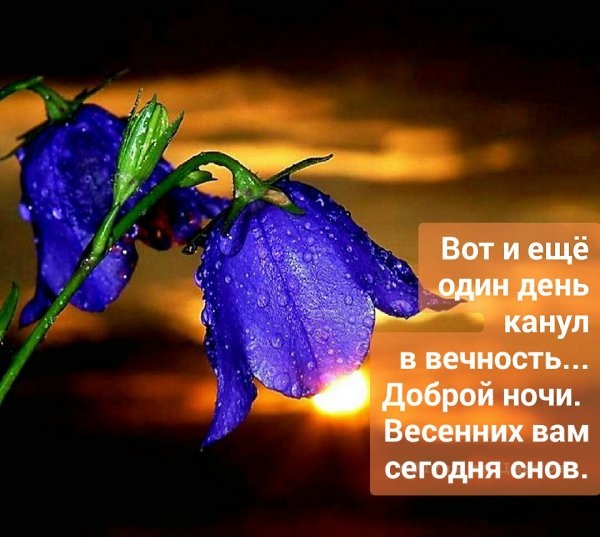 Хостинг картинок yapx.ru