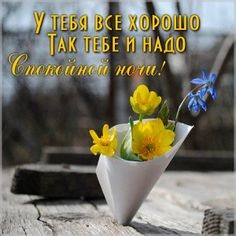 Хостинг картинок yapx.ru