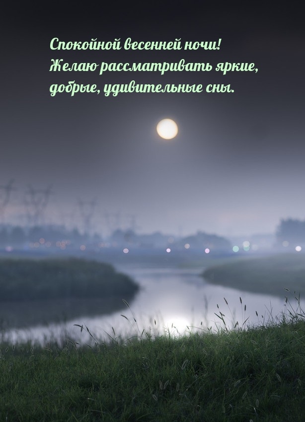 Хостинг картинок yapx.ru