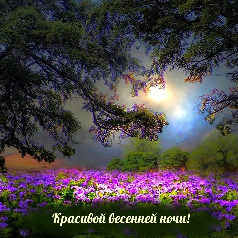 Хостинг картинок yapx.ru