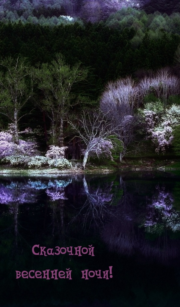 Хостинг картинок yapx.ru