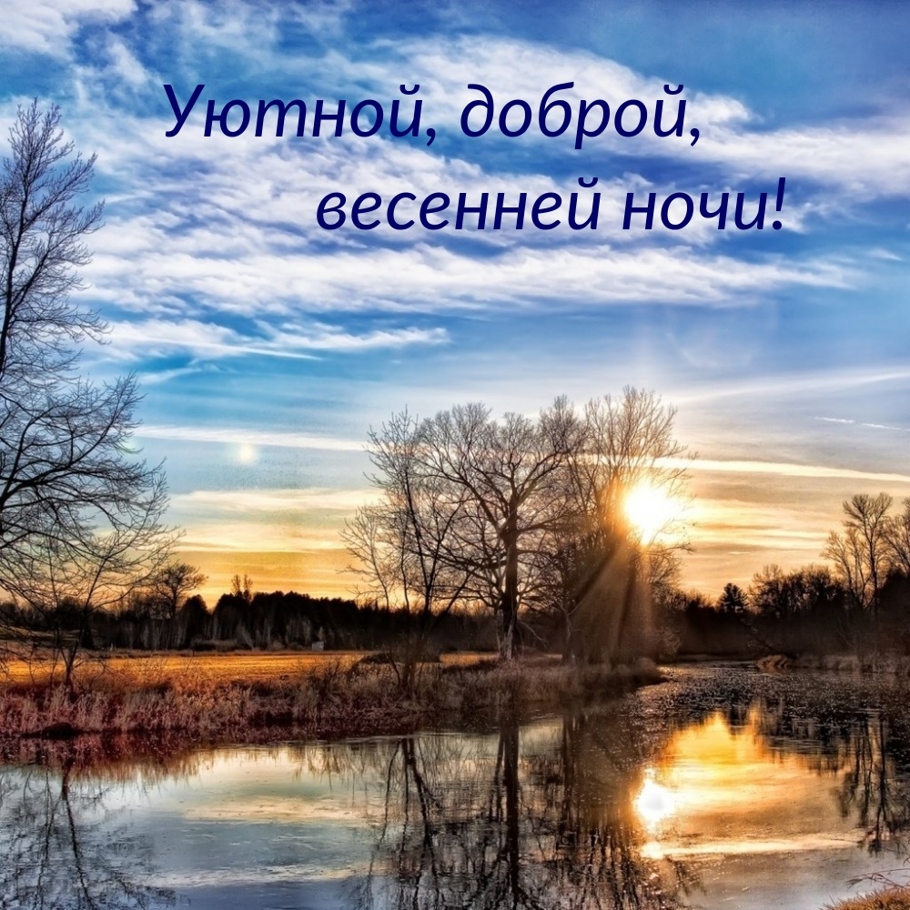 Хостинг картинок yapx.ru