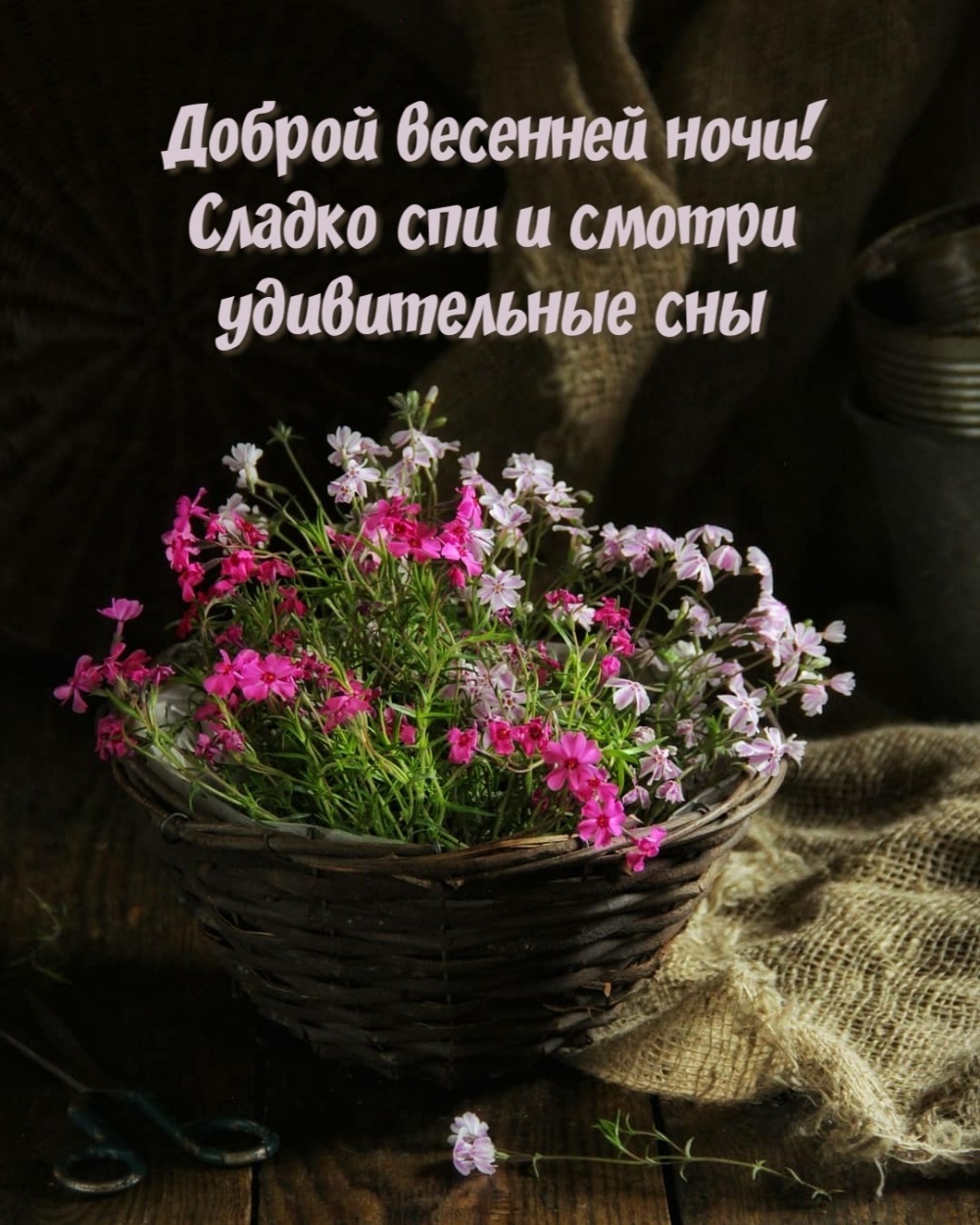 Хостинг картинок yapx.ru