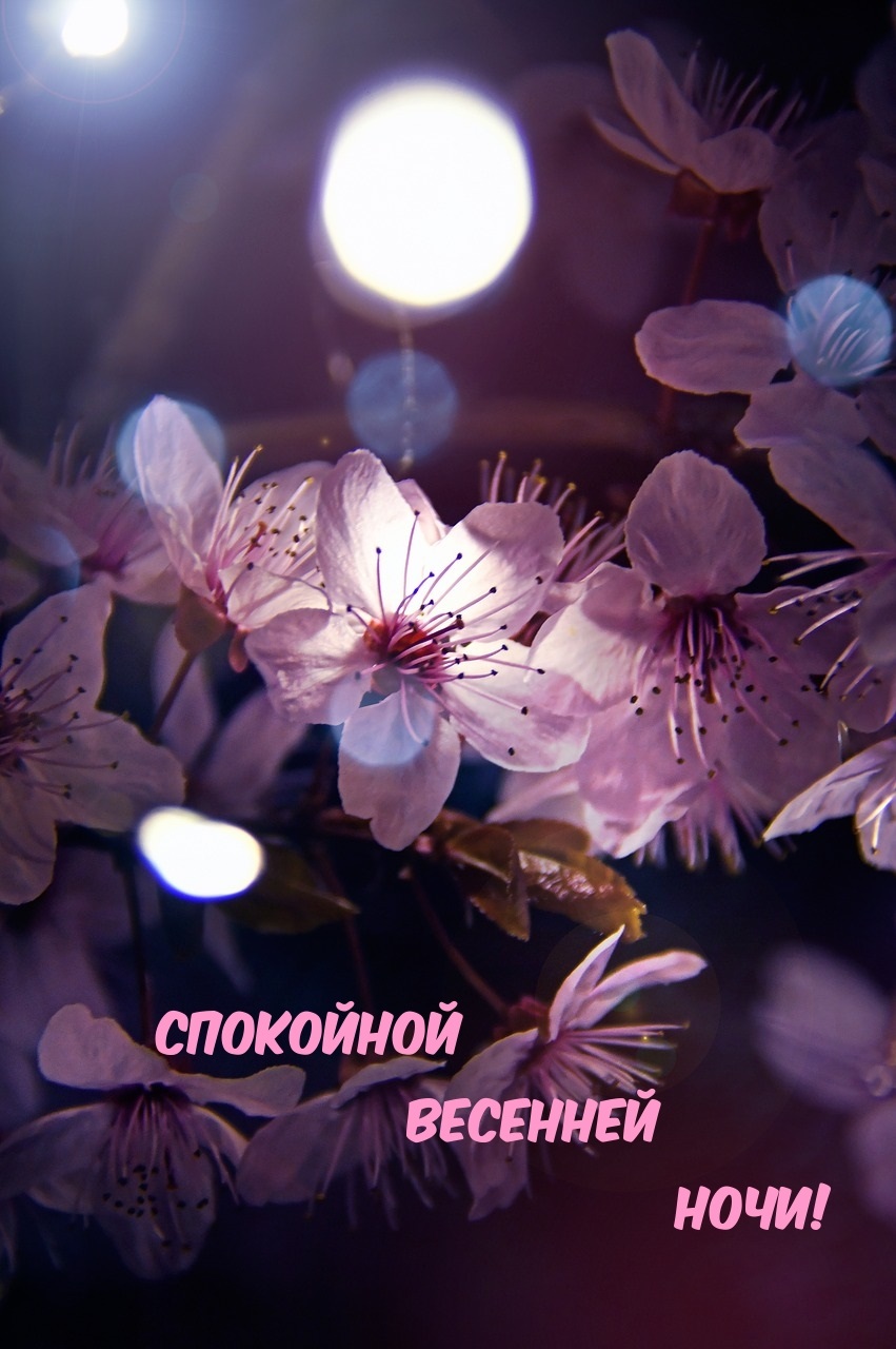 Хостинг картинок yapx.ru