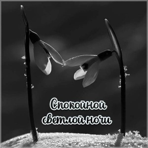 Хостинг картинок yapx.ru