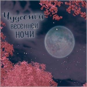 Хостинг картинок yapx.ru