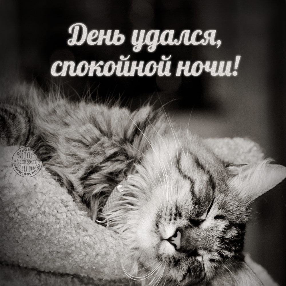 Хостинг картинок yapx.ru