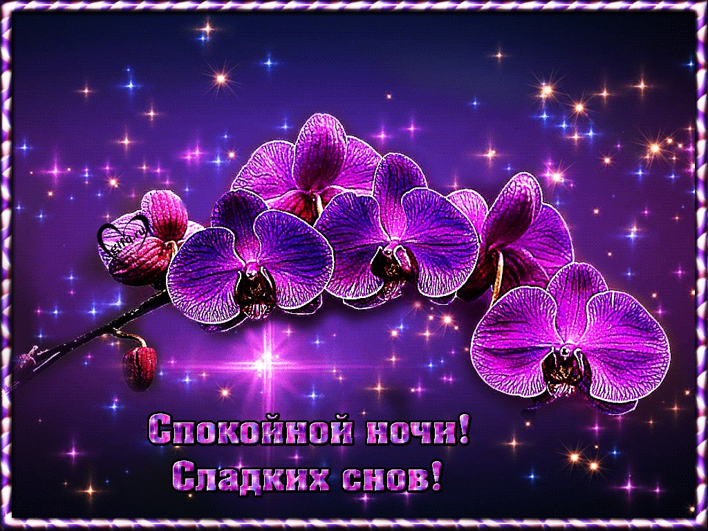 Хостинг картинок yapx.ru