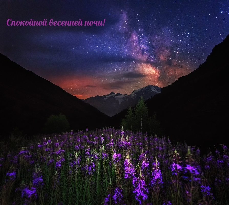 Хостинг картинок yapx.ru