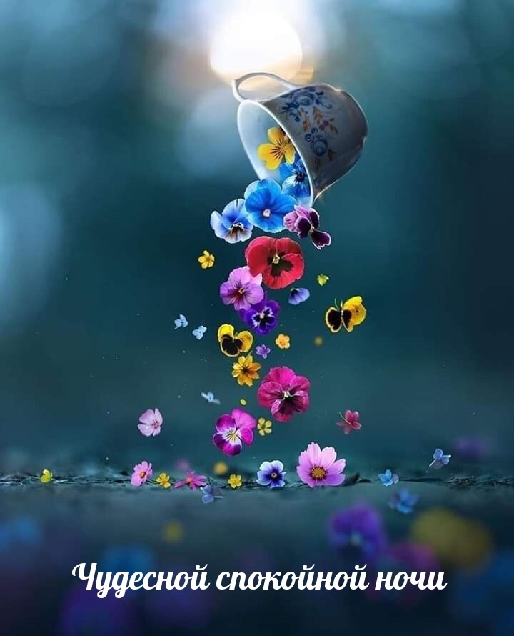 Хостинг картинок yapx.ru