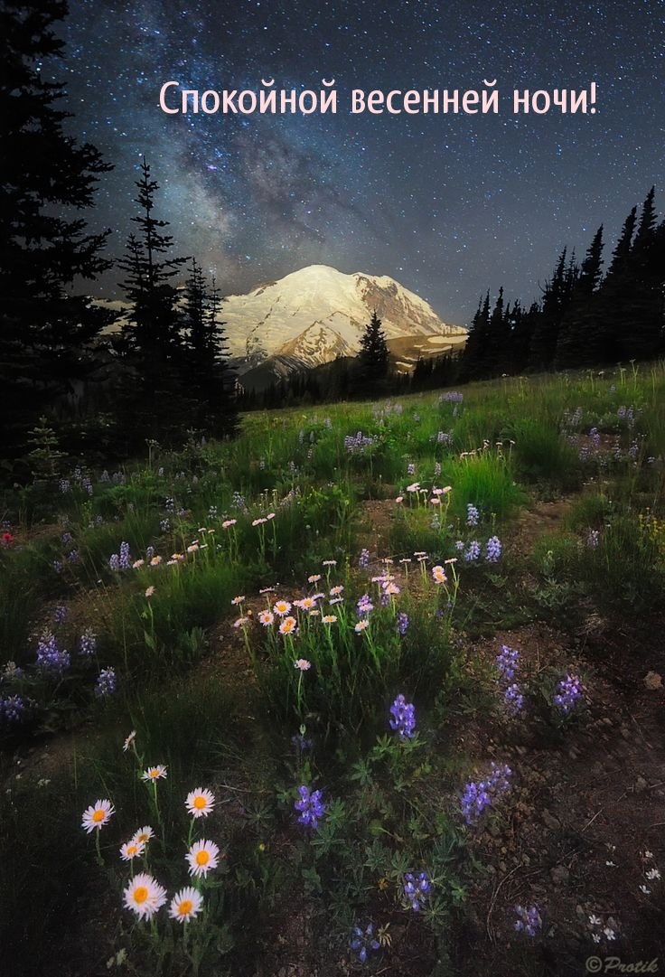 Хостинг картинок yapx.ru