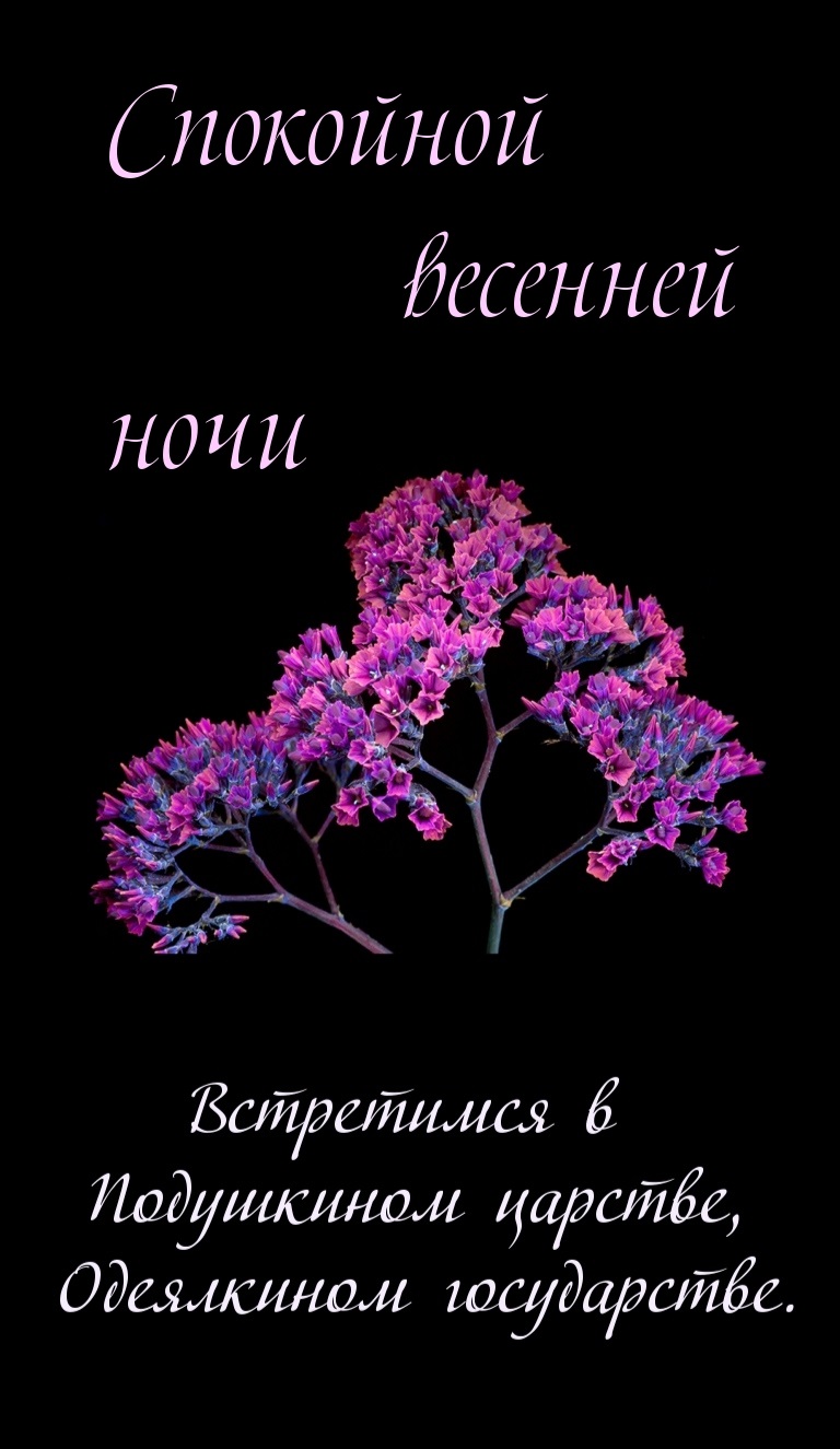 Хостинг картинок yapx.ru