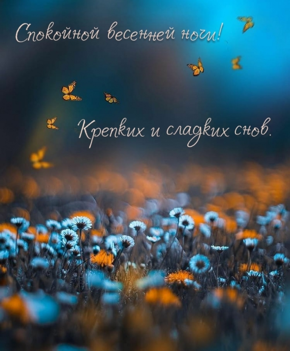 Хостинг картинок yapx.ru