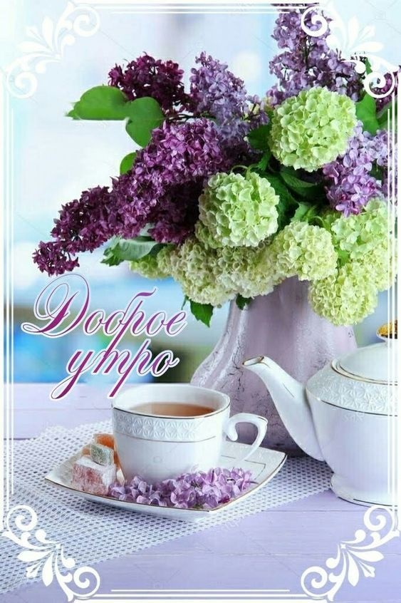 Хостинг картинок yapx.ru