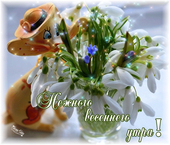 Хостинг картинок yapx.ru