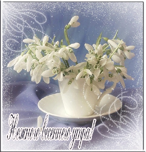 Хостинг картинок yapx.ru