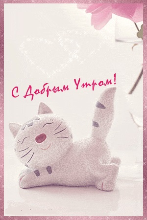 Хостинг картинок yapx.ru