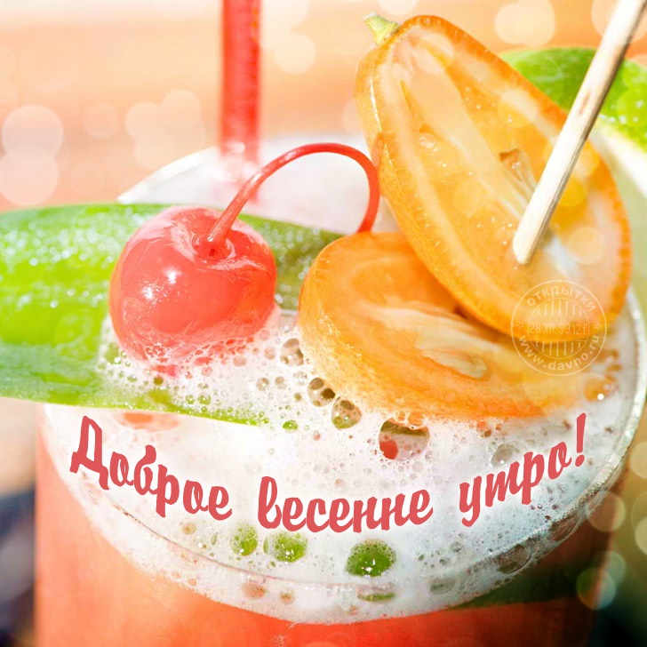 Хостинг картинок yapx.ru